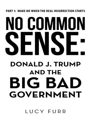 cover image of No Common Sense